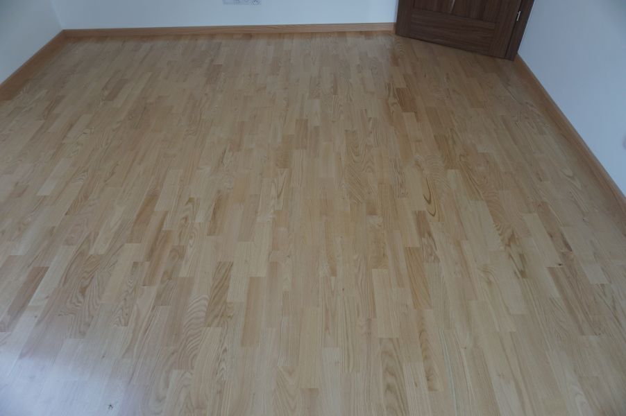 Parkiet Z Debu Czerwonego 013